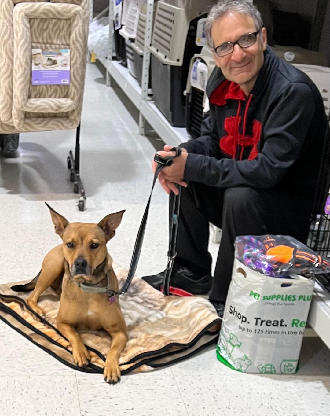 Enlarge Sierra is in Maine, an adoptable mixed breed in South Portland, ME image 5/6