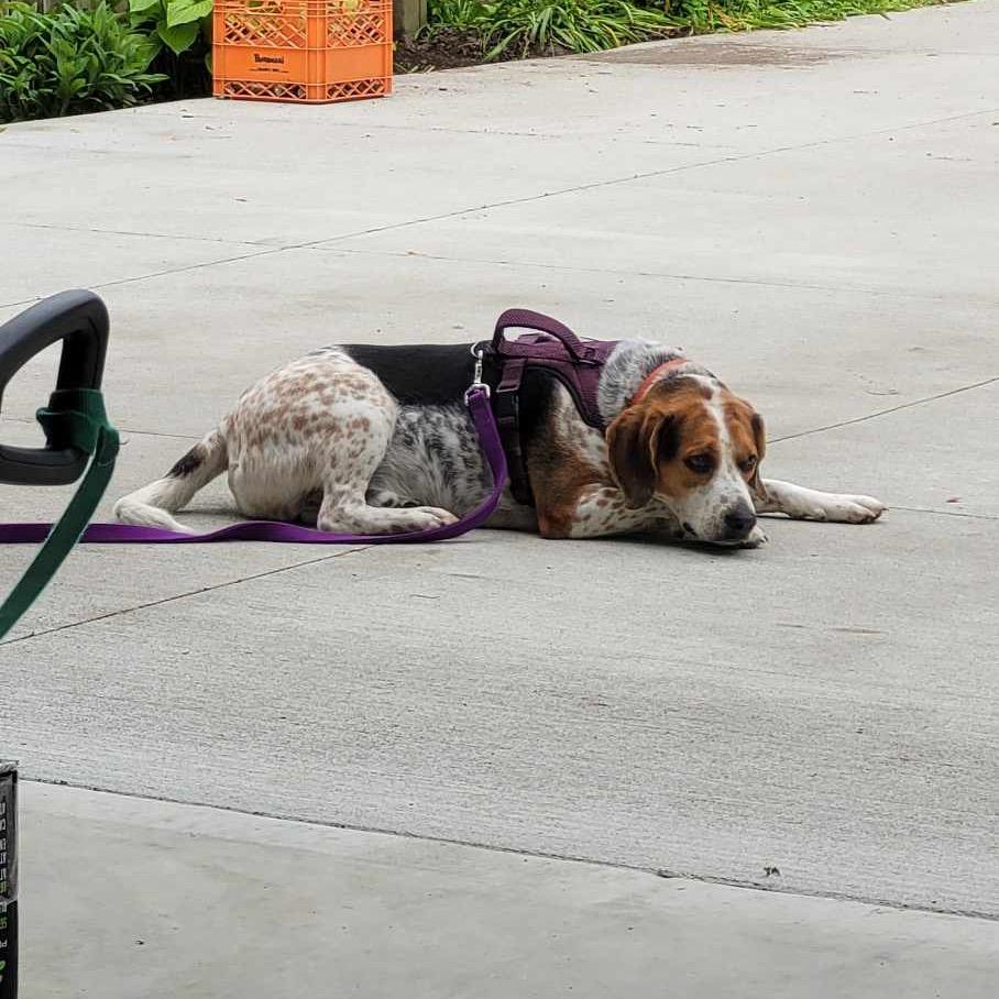 Charlie photo 3