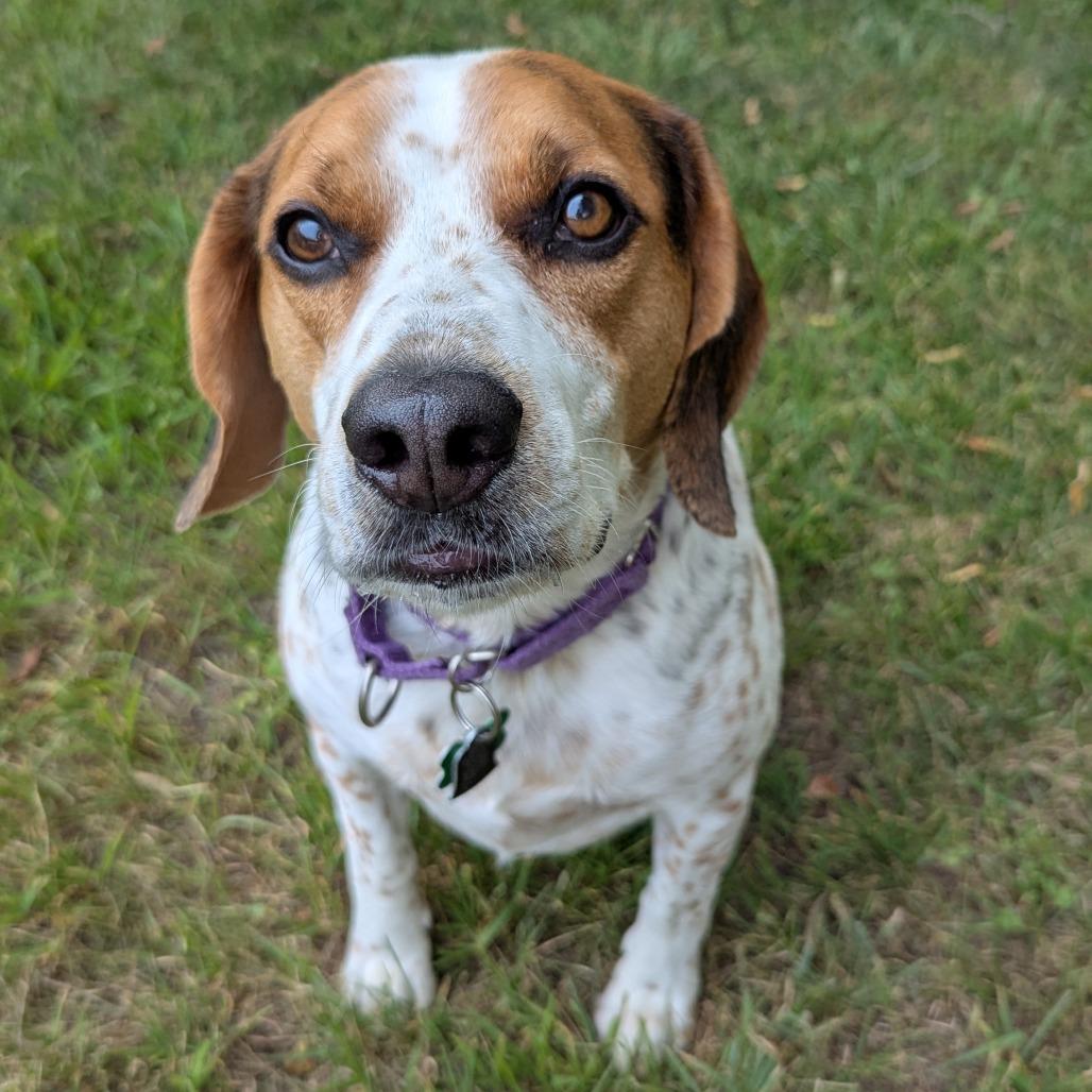Charlie