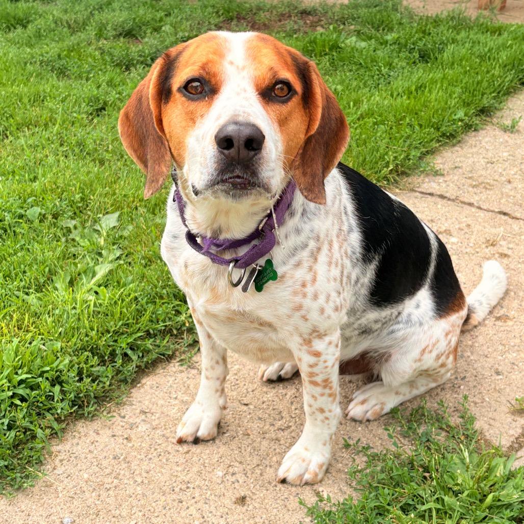 Charlie photo 4