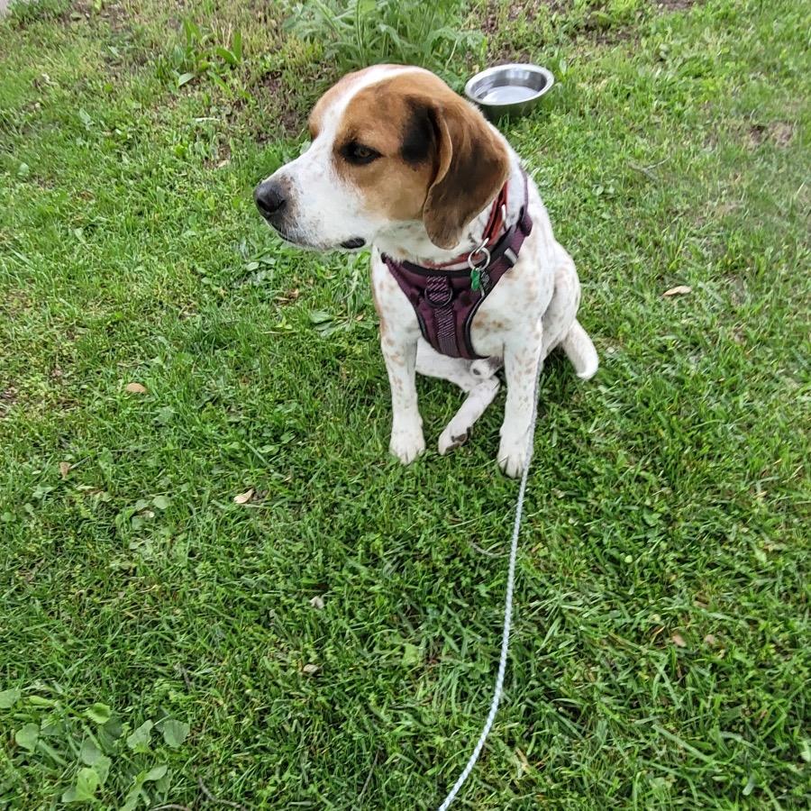 Charlie photo 4