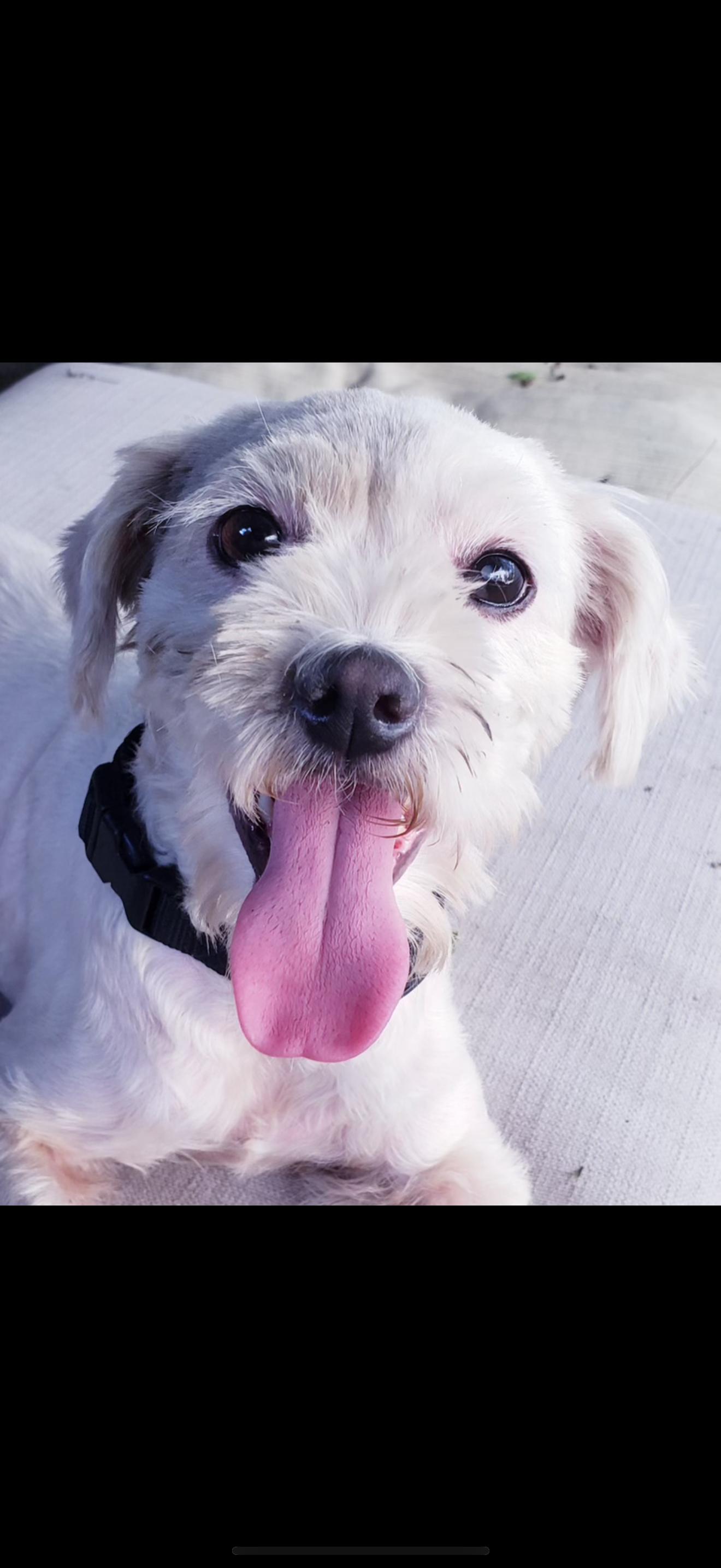 Sierra - The Sweetest Girl