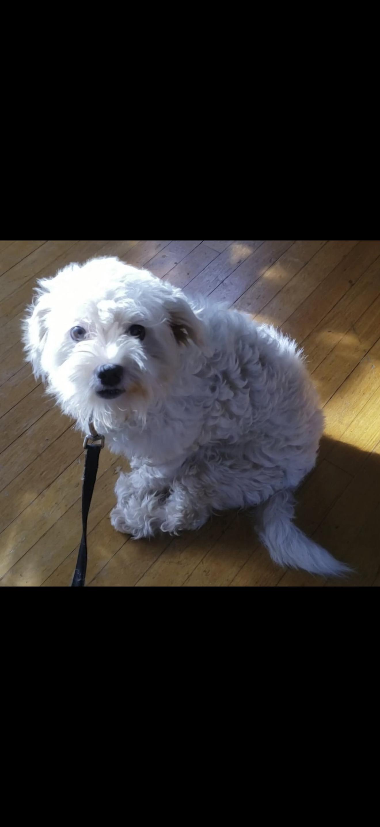 Sierra  The Sweetest thumbnail 4