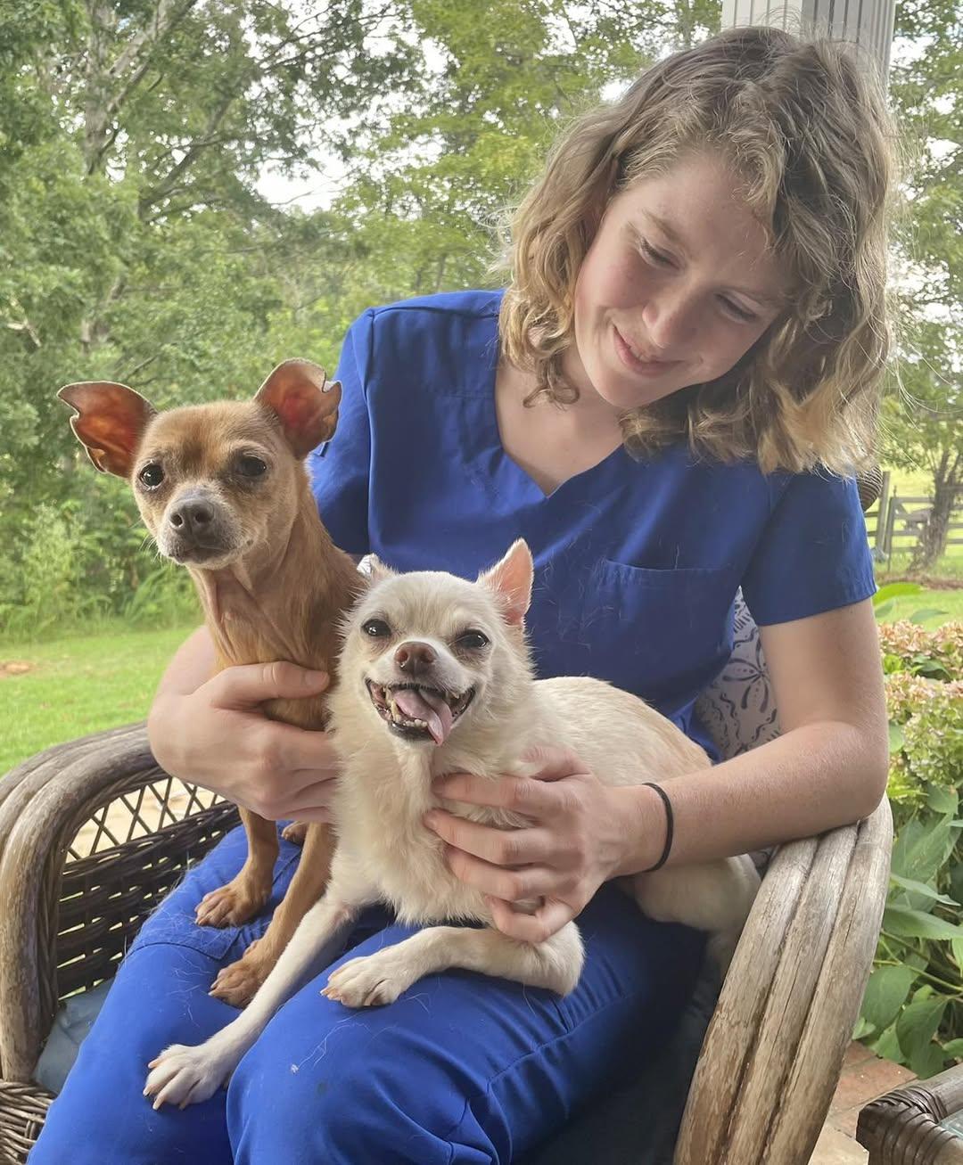 Enlarge Penny, a Adoptable Chihuahua in Loganville, GA image 4/6