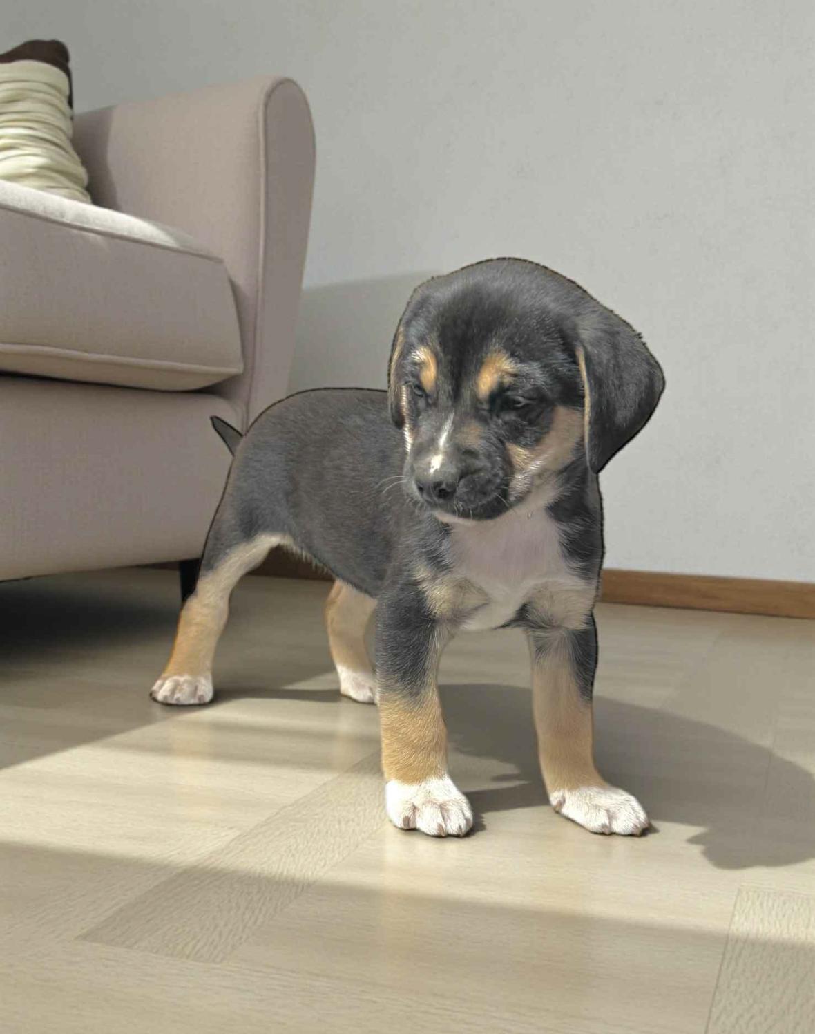 Ximera — thumbnail 2