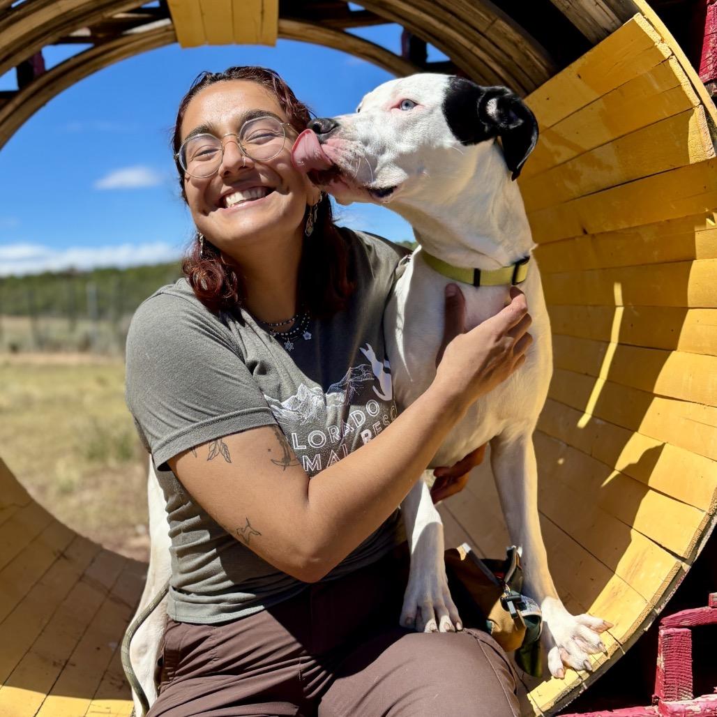 Enlarge Bruno, a Adoptable Pit Bull Terrier in Glenwood Springs, CO image 5/6