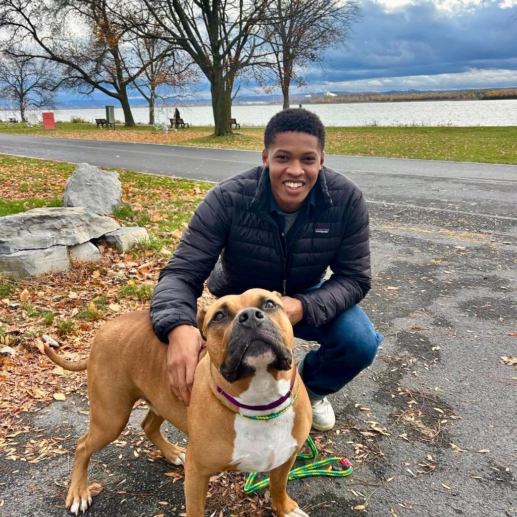 Enlarge Duke, a Adoptable mixed breed in Liverpool, NY image 3/6