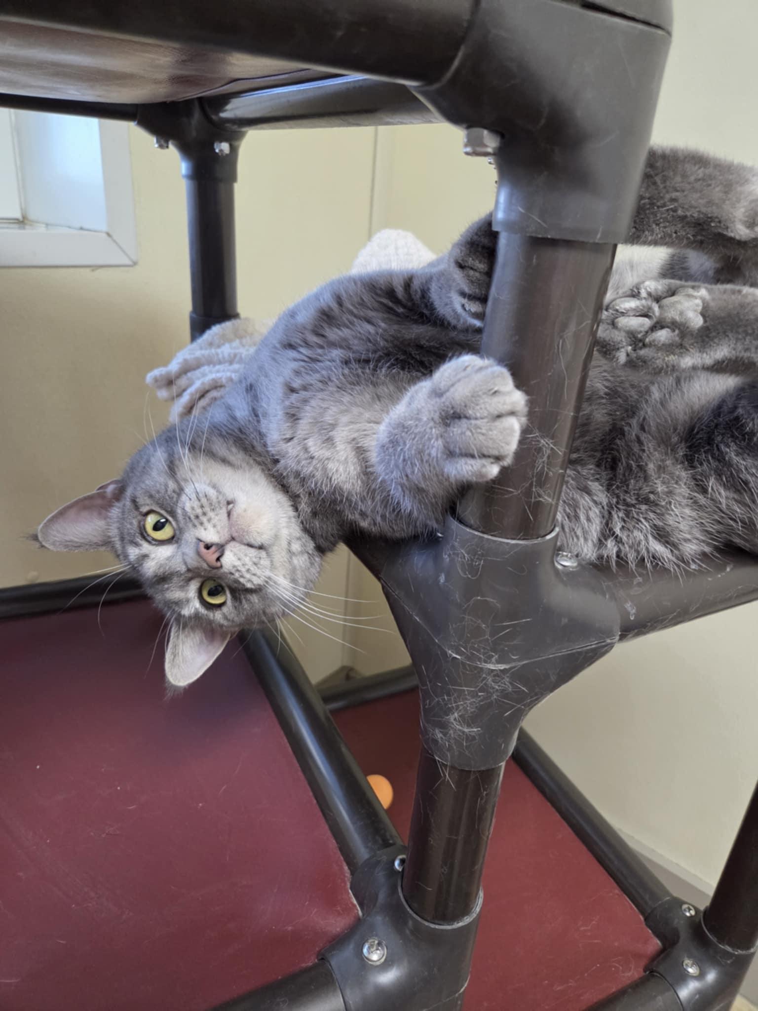 Franklin thumbnail 3