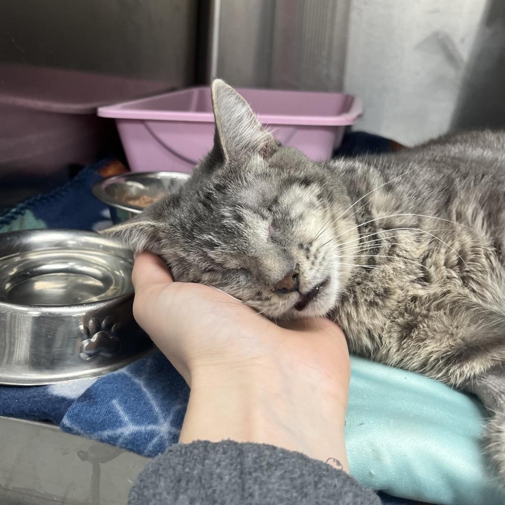 Kuiama — thumbnail 5