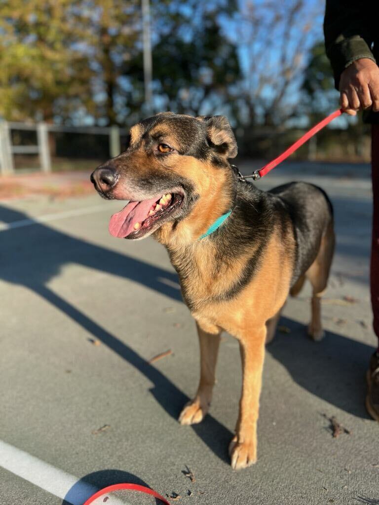 Milo photo 2