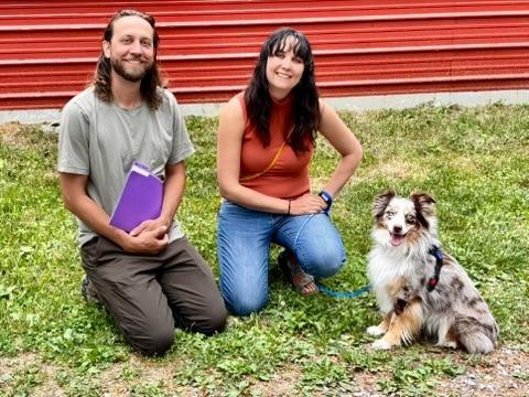Enlarge Charly, a Adoptable Australian Shepherd in Thompson Falls, MT image 6/6