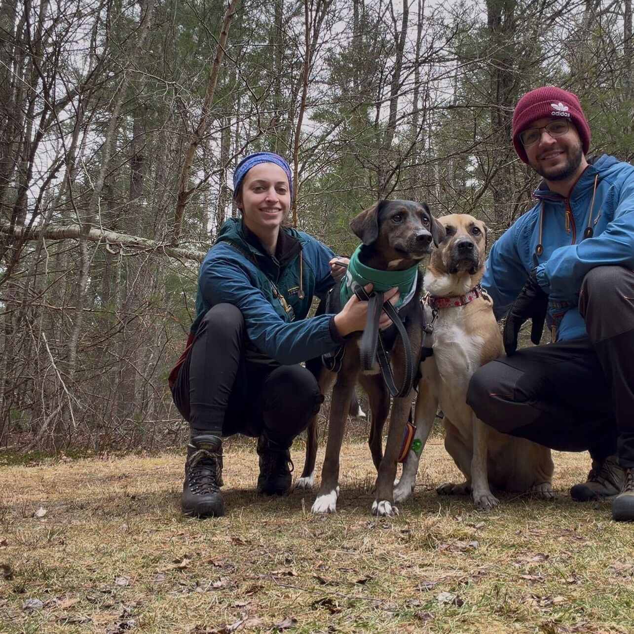 Enlarge M'baku, a ADOPTABLE mixed breed in New Bedford, MA image 3/5