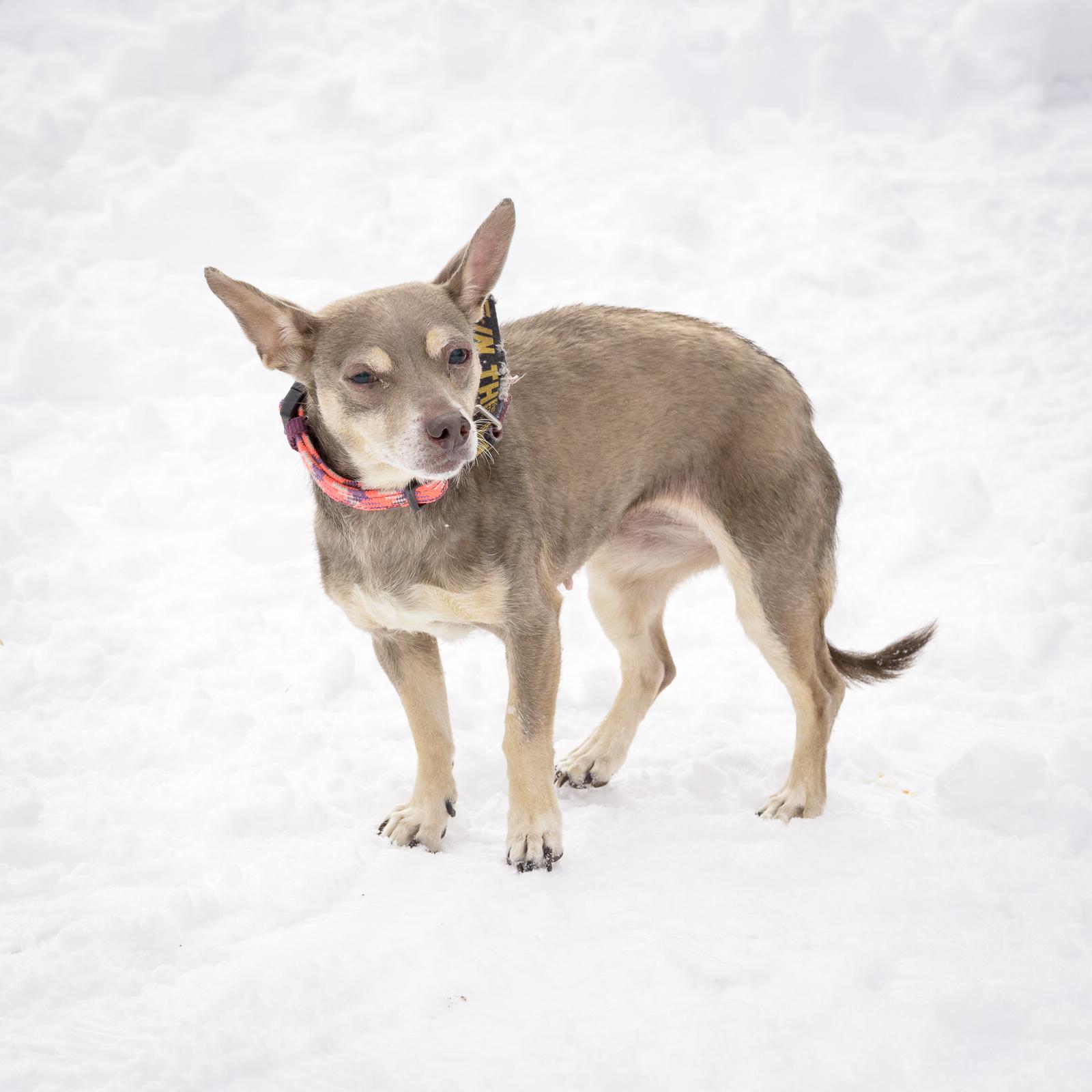 Nori — thumbnail 5