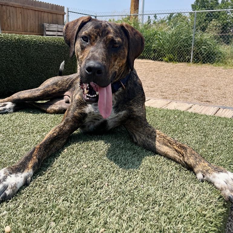 Baxter