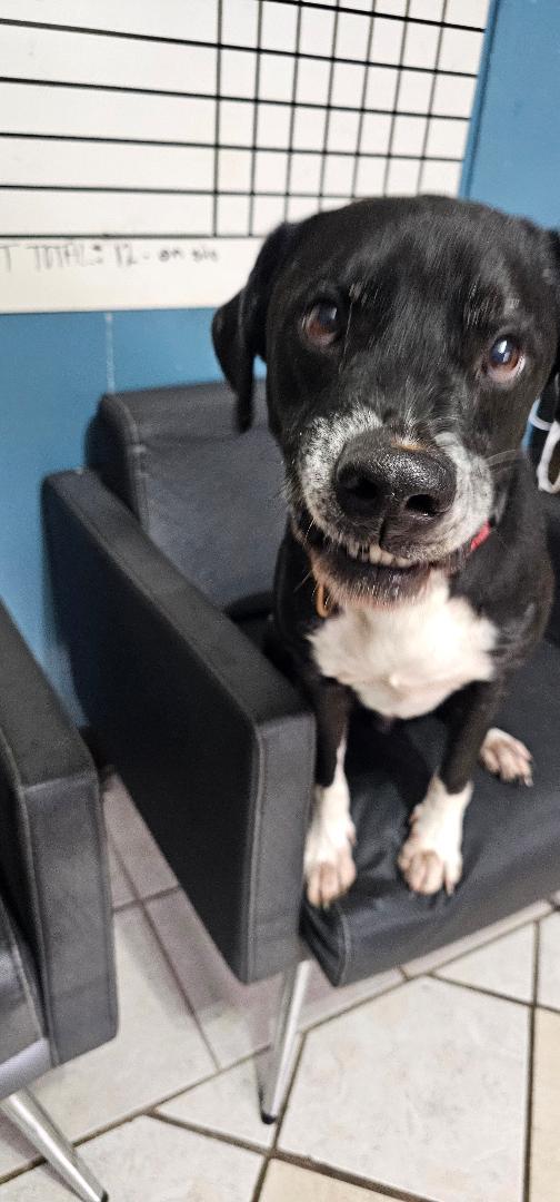 Bubbles — thumbnail 2