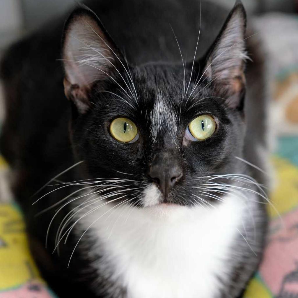 Fred — thumbnail 2