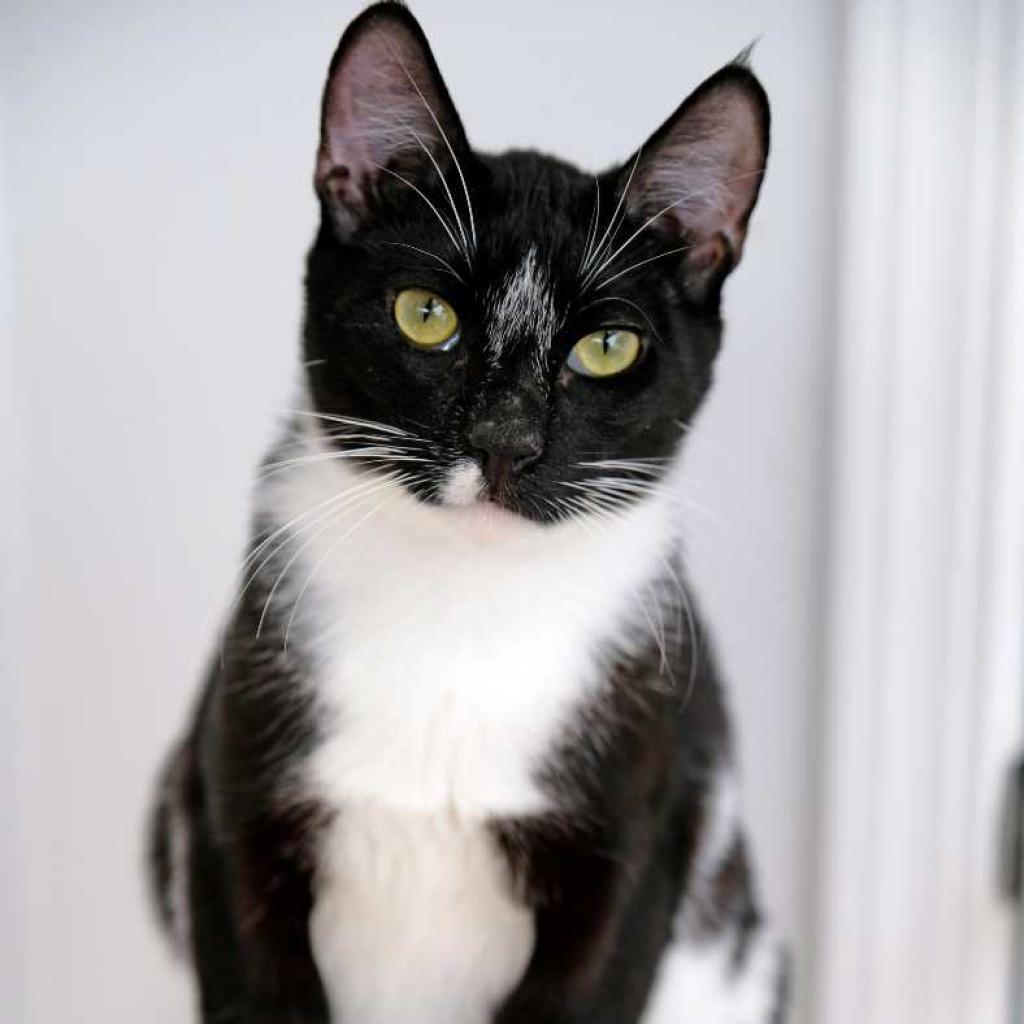 Fred — thumbnail 3