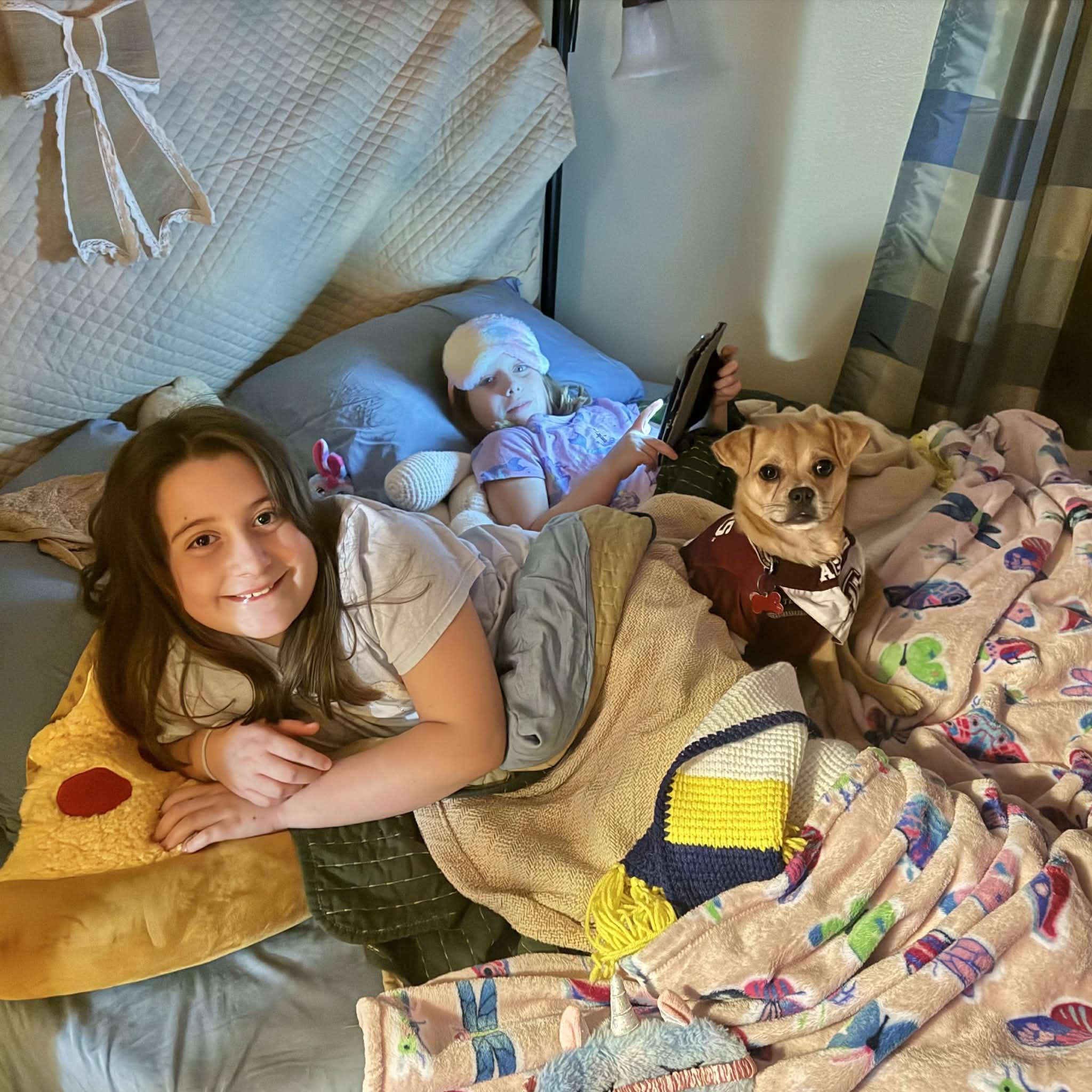 Penny, a ADOPTABLE mixed breed in Boulder, CO image 6/6