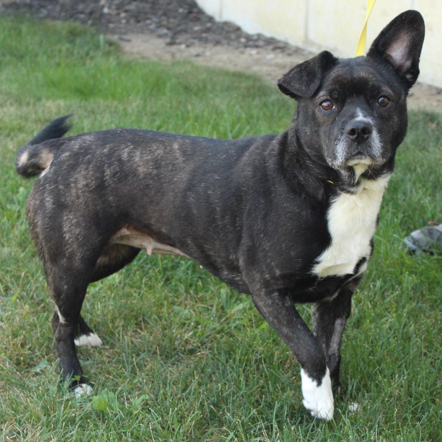 Roxy