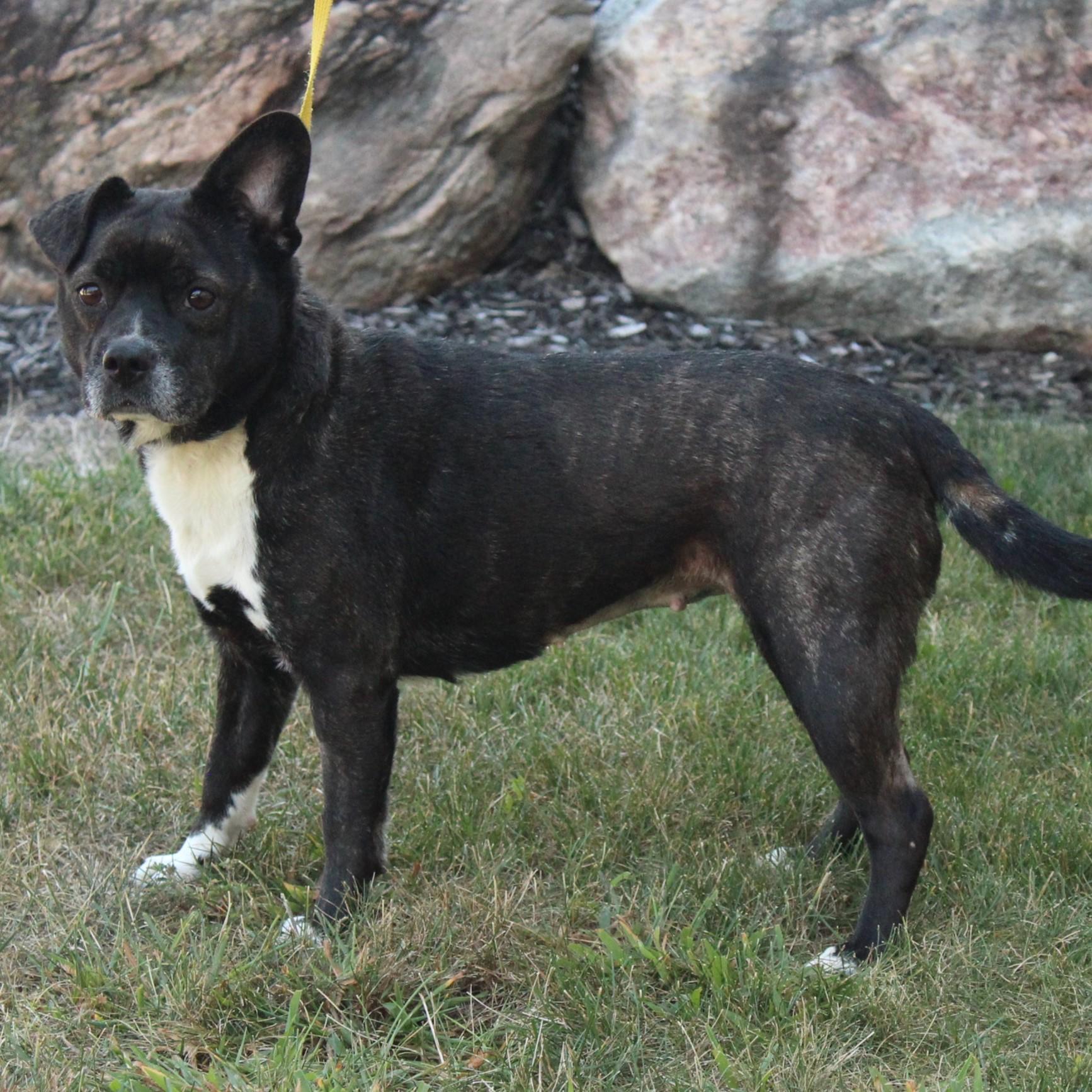 Roxy