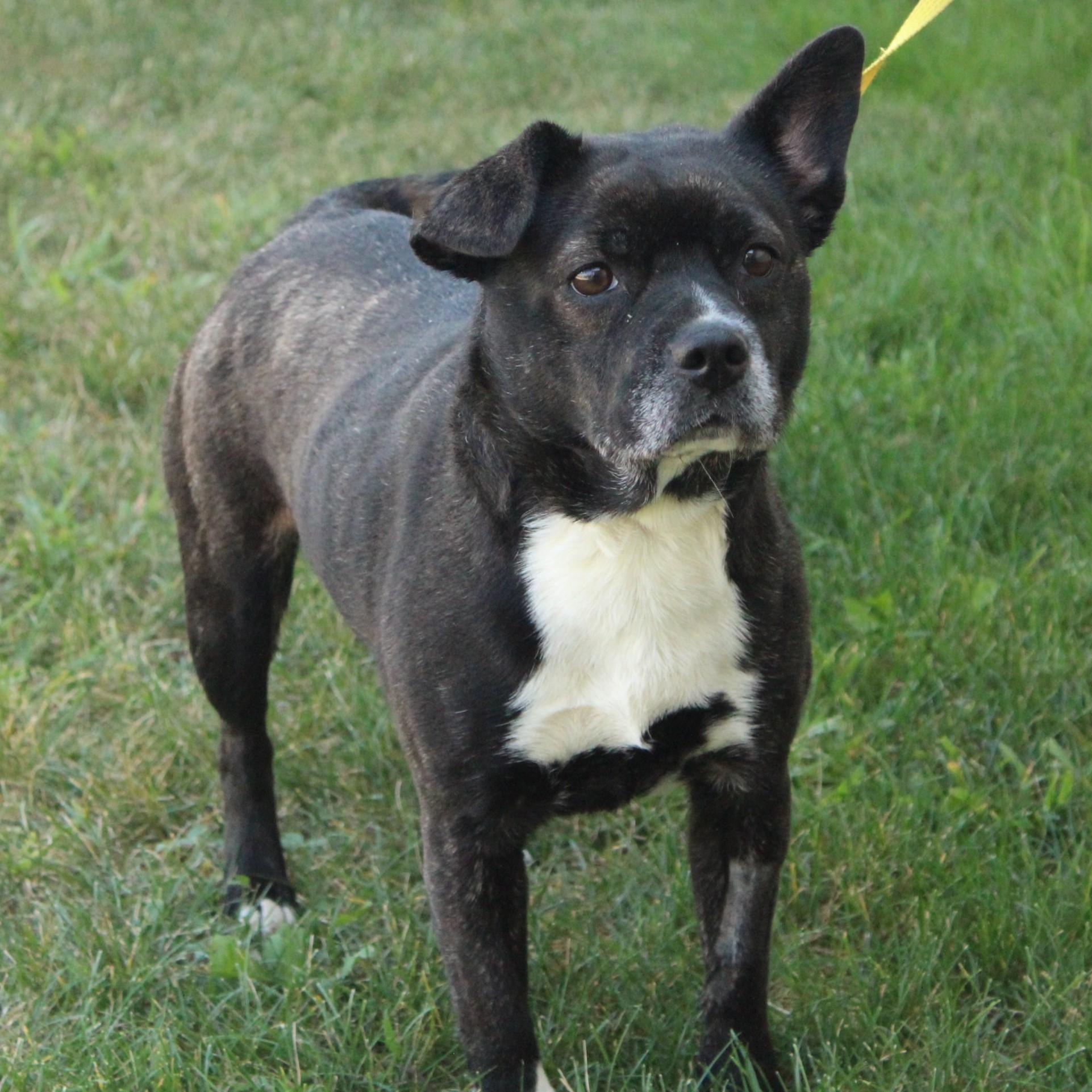 Roxy