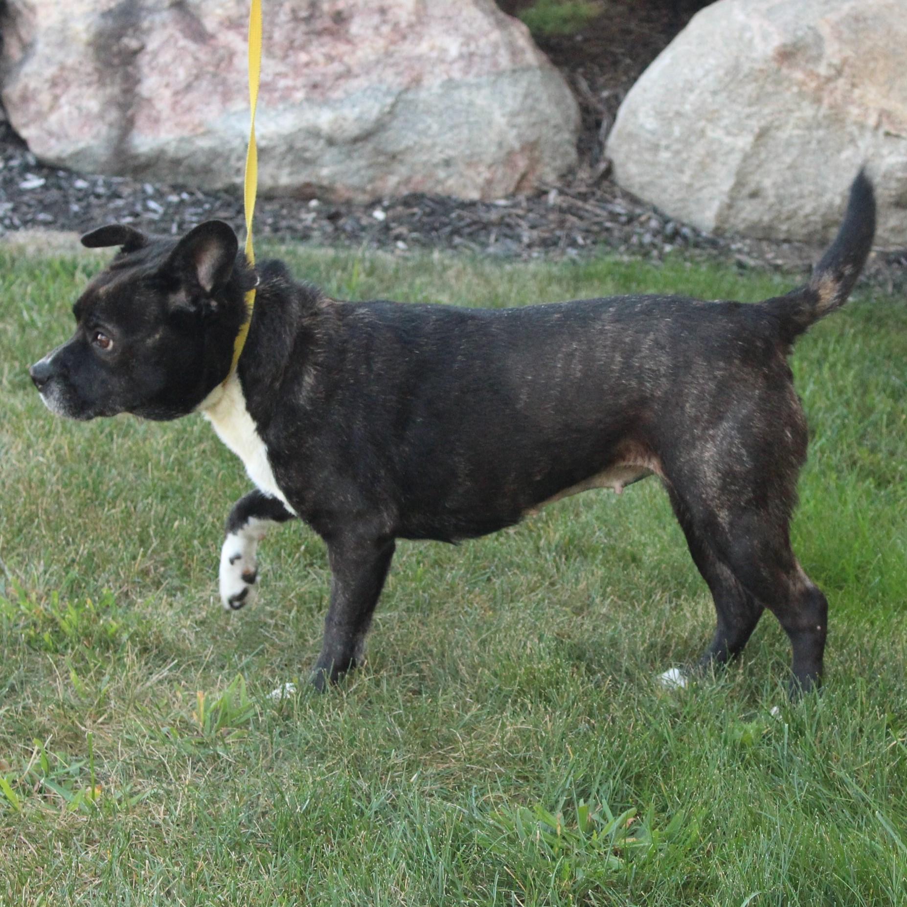 Roxy