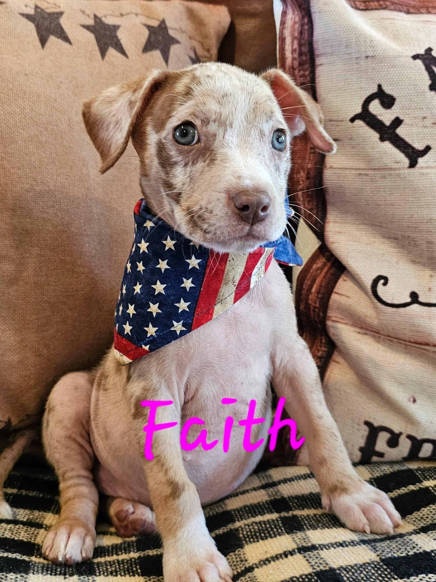 Faith