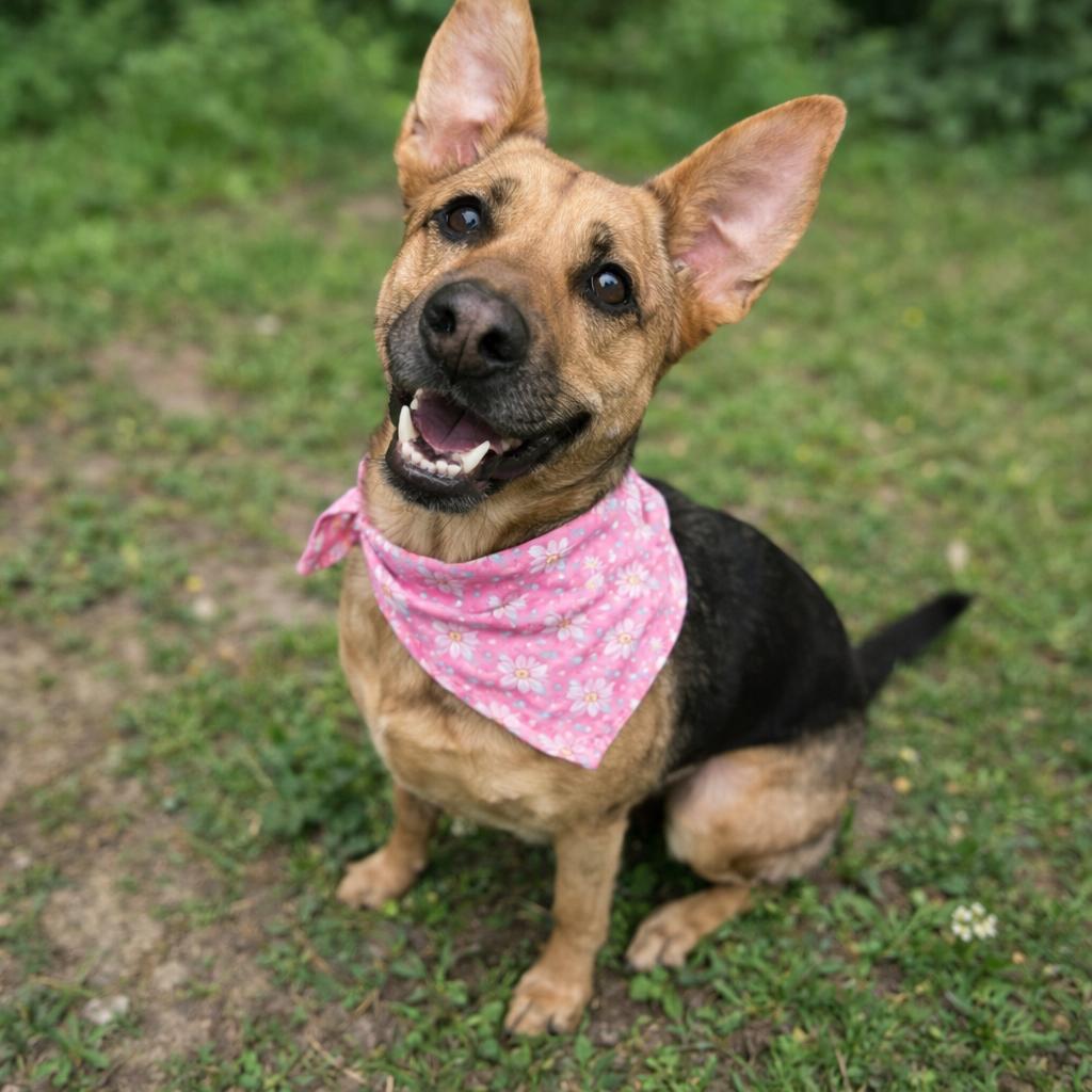 LADY GS — thumbnail 3