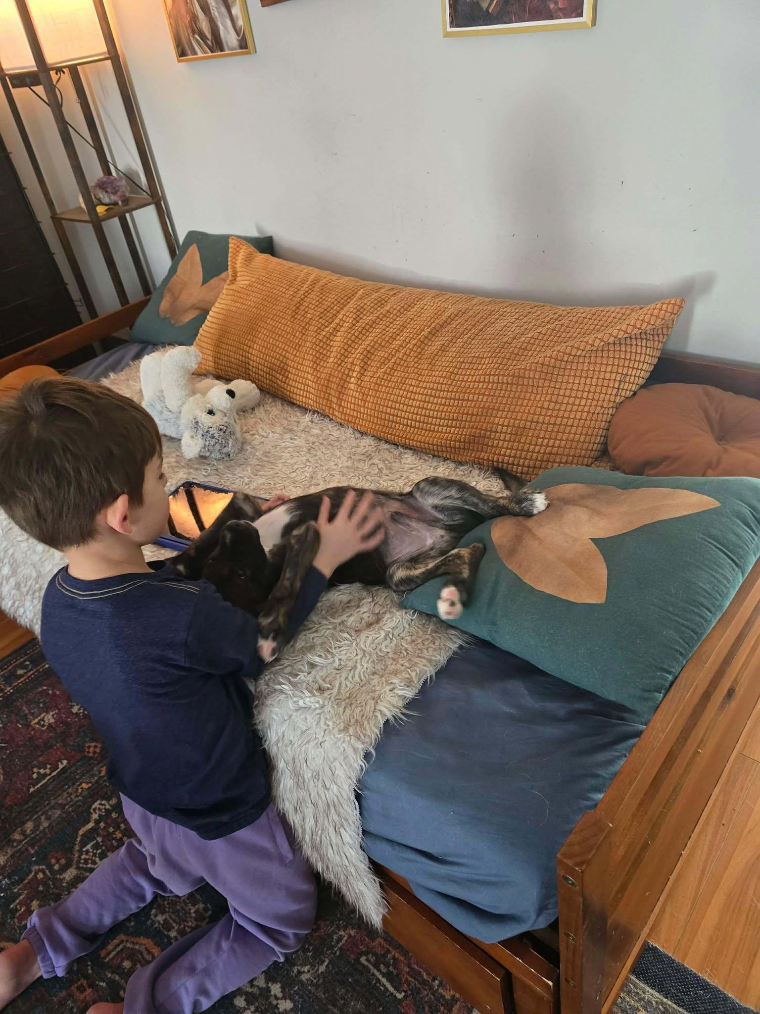 Yukon Cornelius (20260110-04) — thumbnail 2