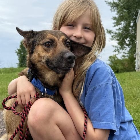 Enlarge Anne, an adoptable mixed breed in Williston, VT image 4/5