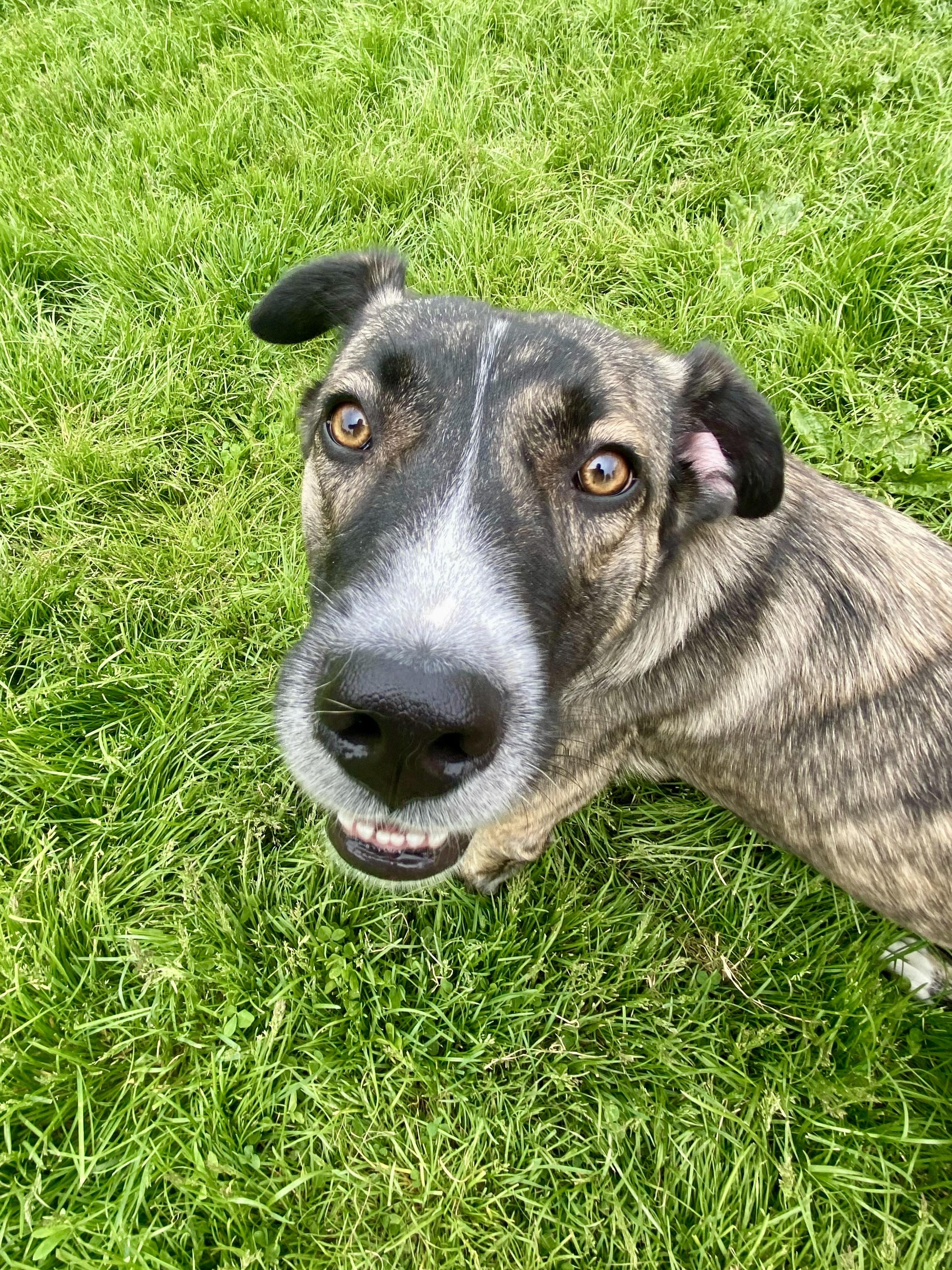 Sadie photo 5