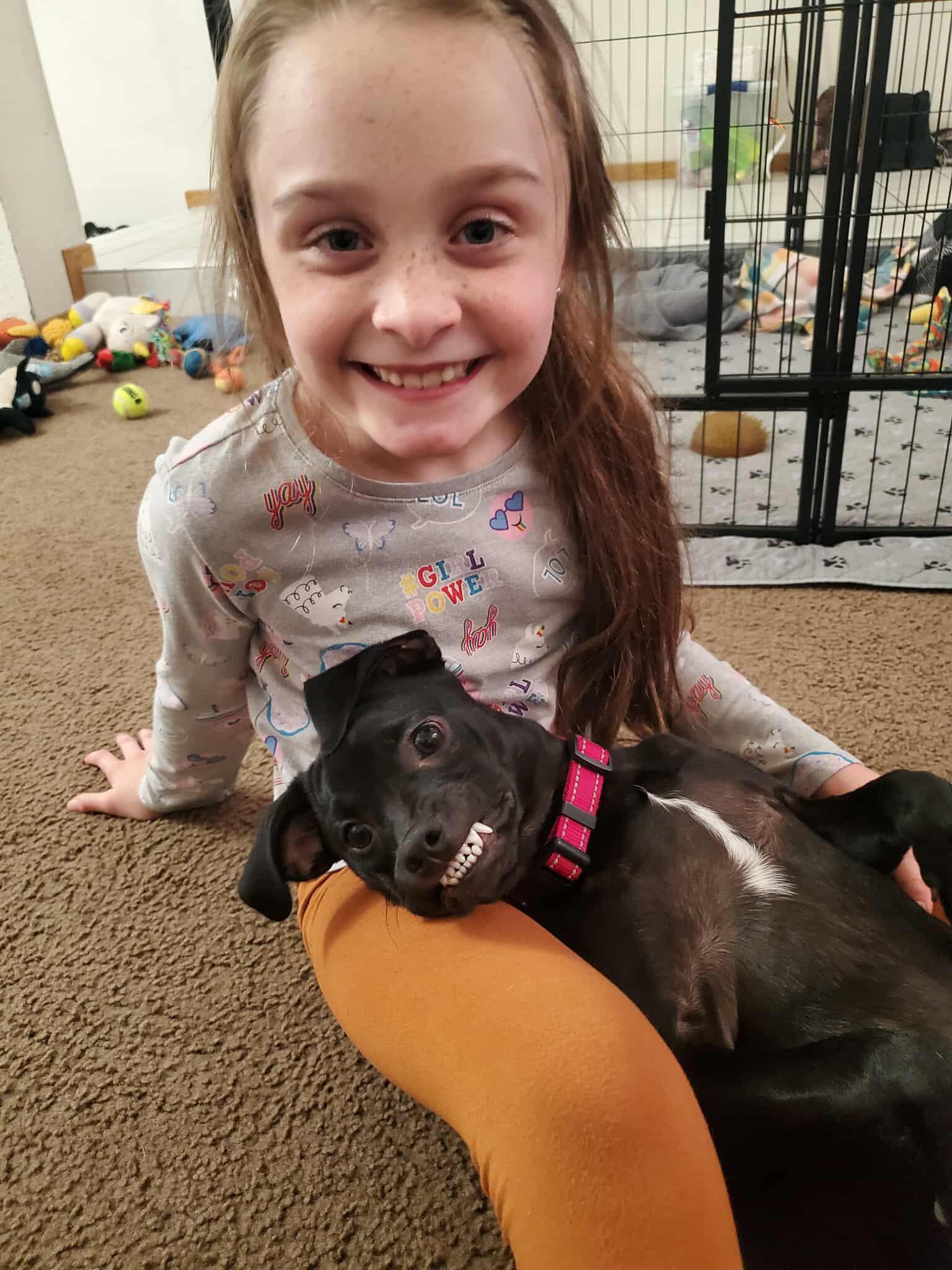 Enlarge Gemma, a Adoptable mixed breed in Lodi, CA image 3/6