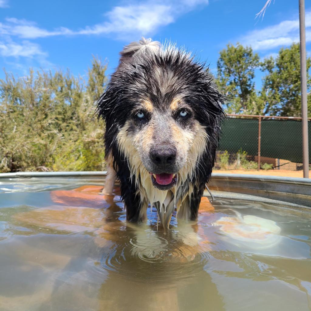 Archo — thumbnail 6