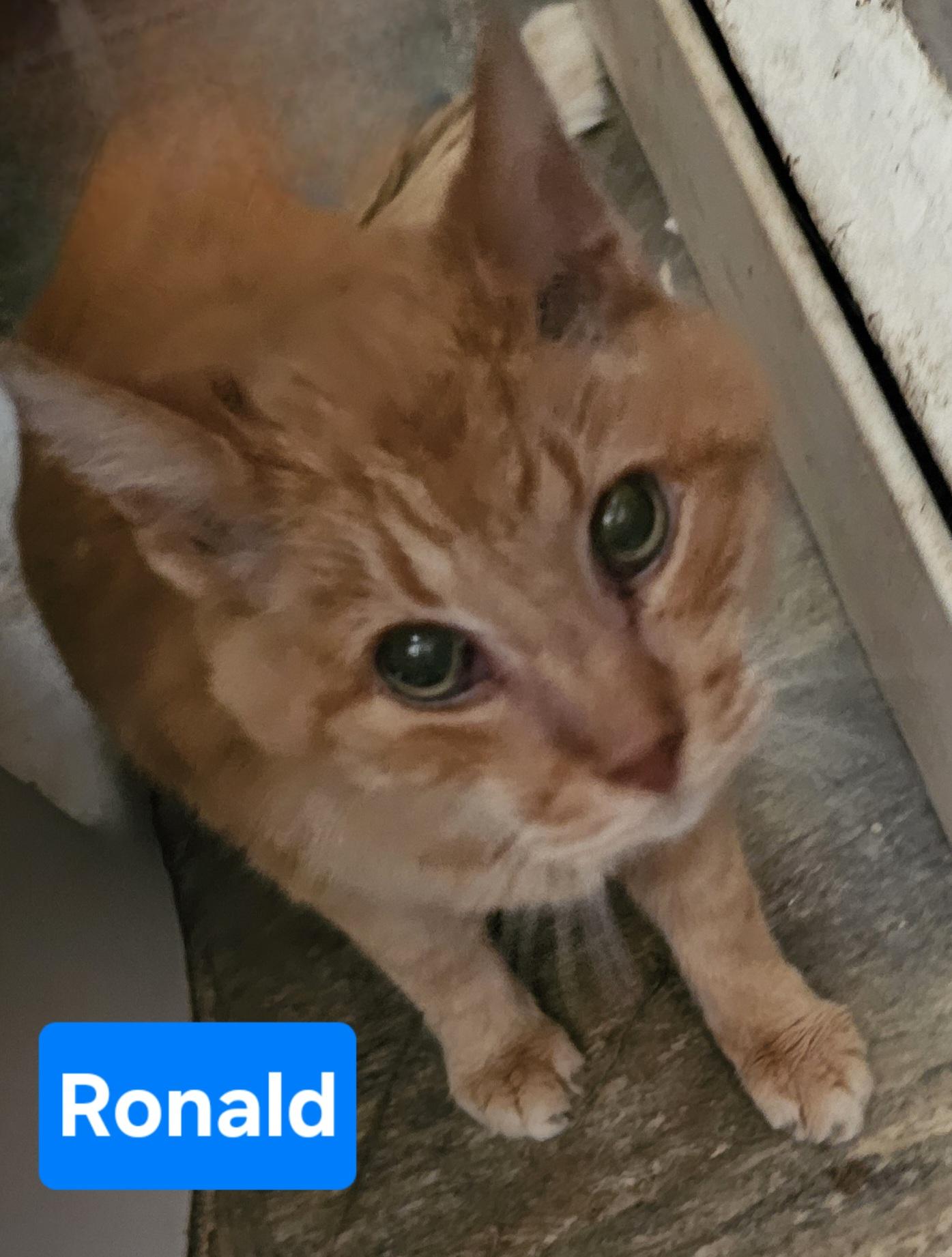Ronald