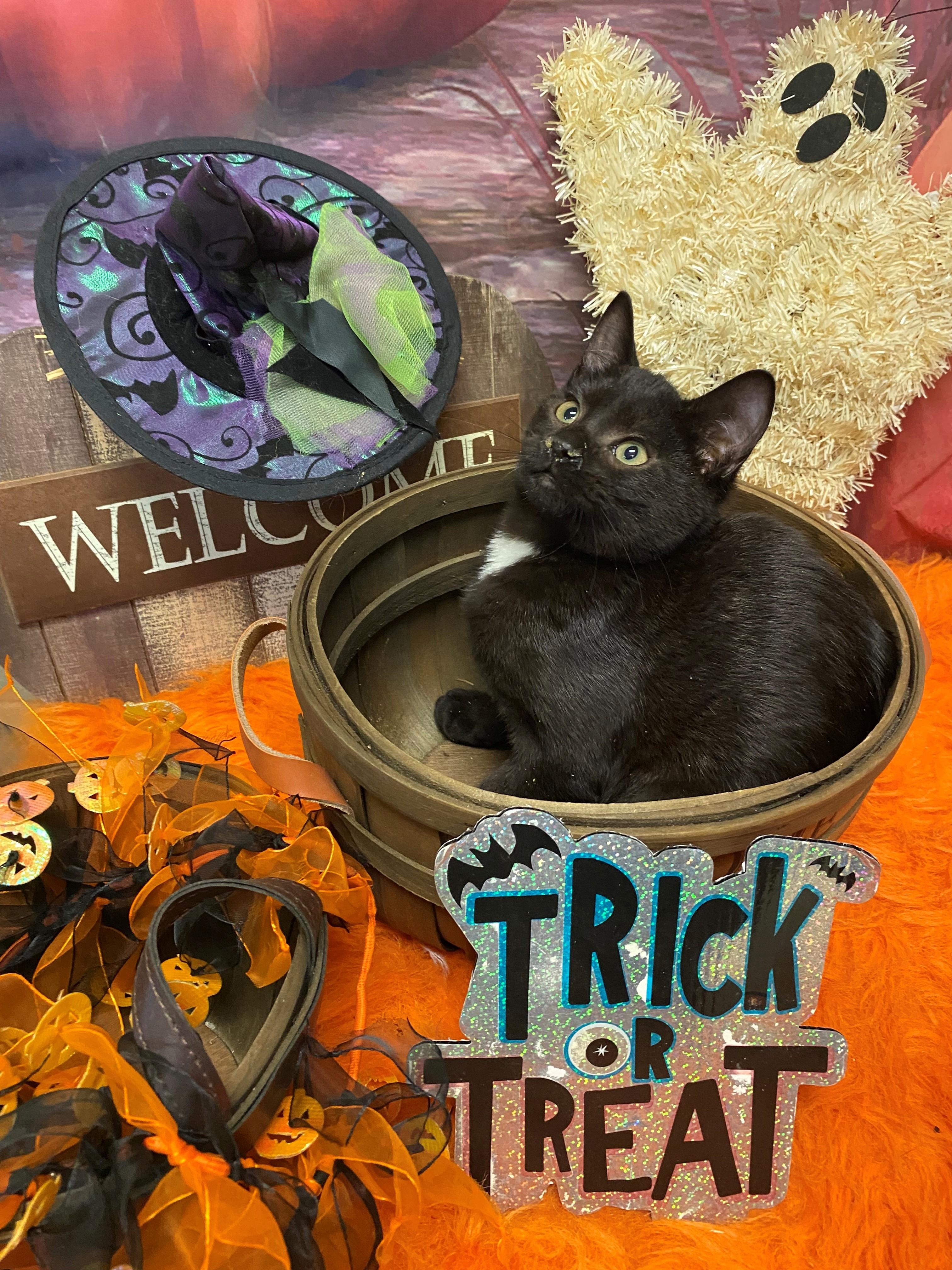 Jonathan Knight 58941847