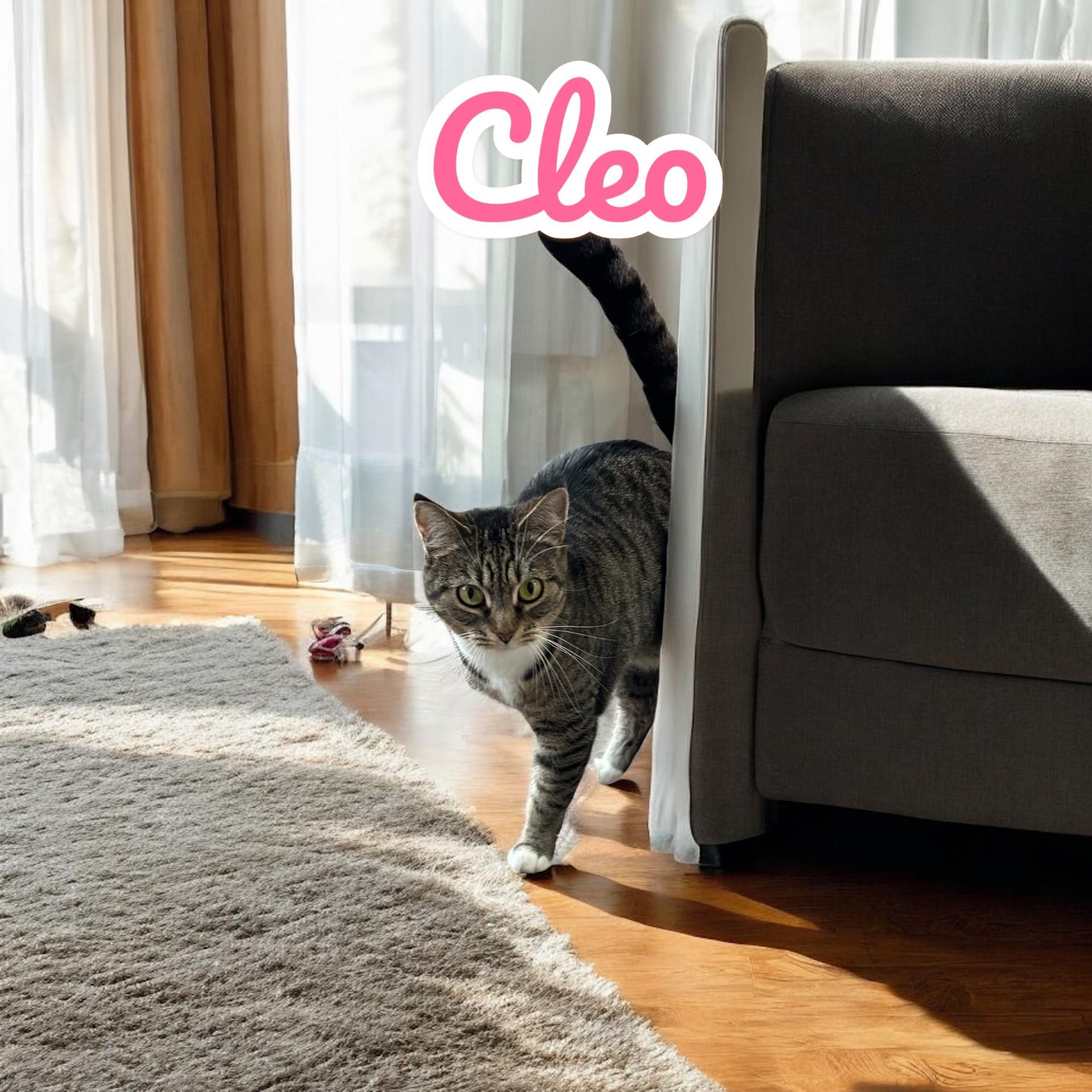 Cleo