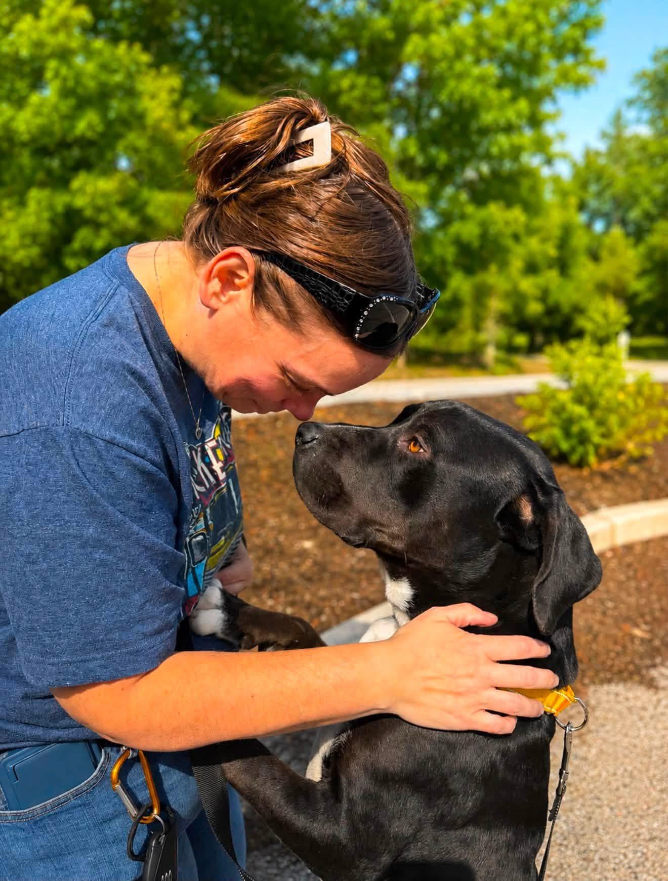 Enlarge WAFFLES, a Adoptable mixed breed in Kennebunk , ME image 5/6