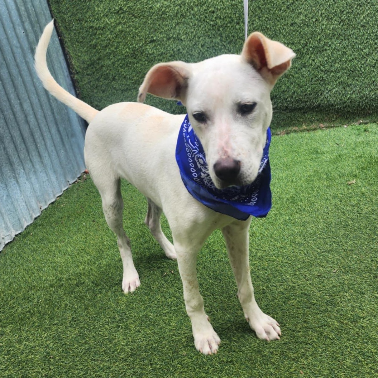 Luke — thumbnail 3