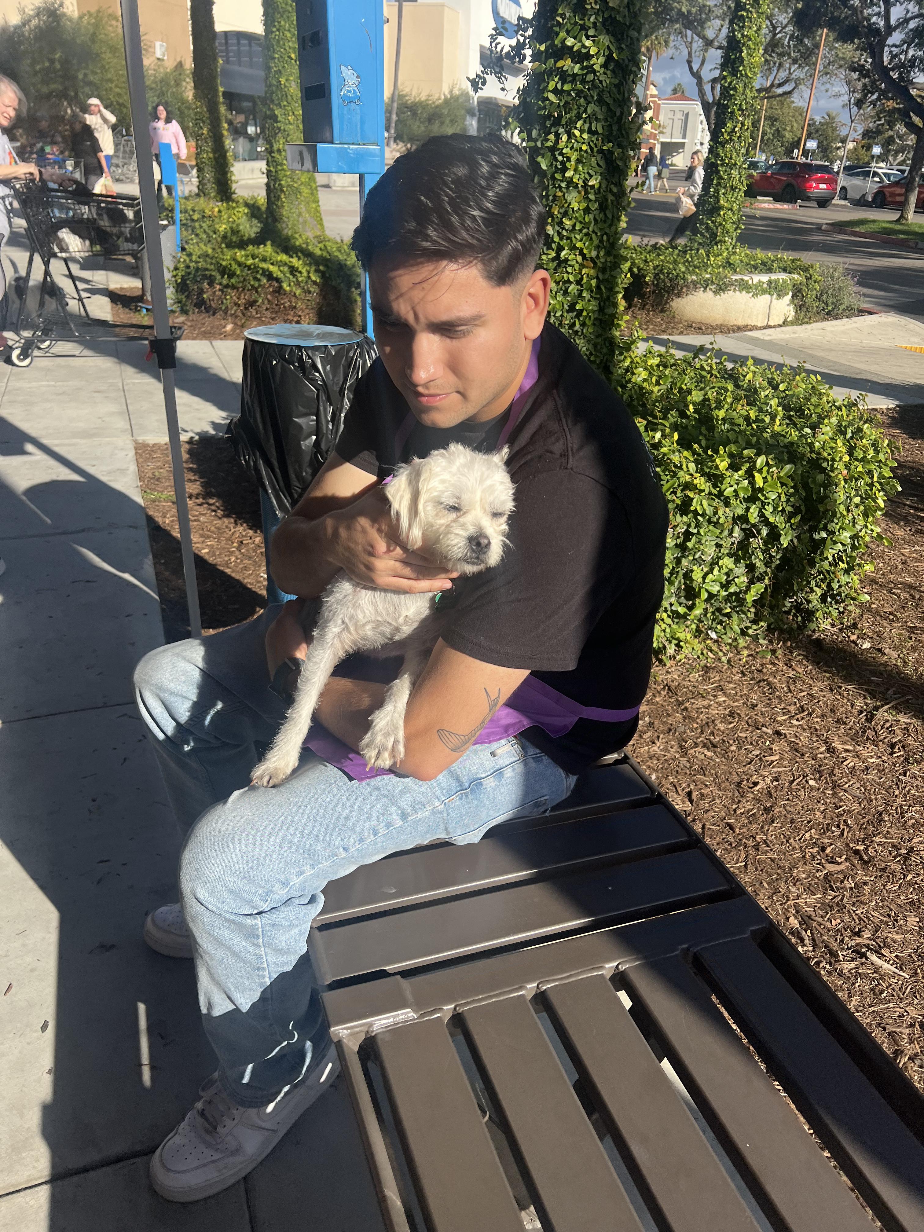 Enlarge Casper, a ADOPTABLE Maltipoo in Encinitas, CA image 5/5