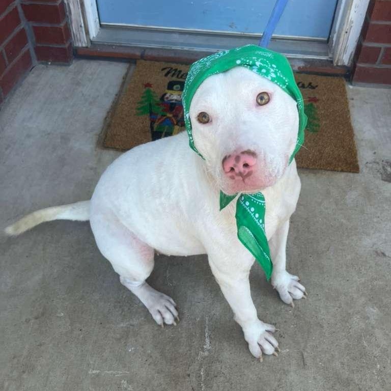 Sandy — thumbnail 2