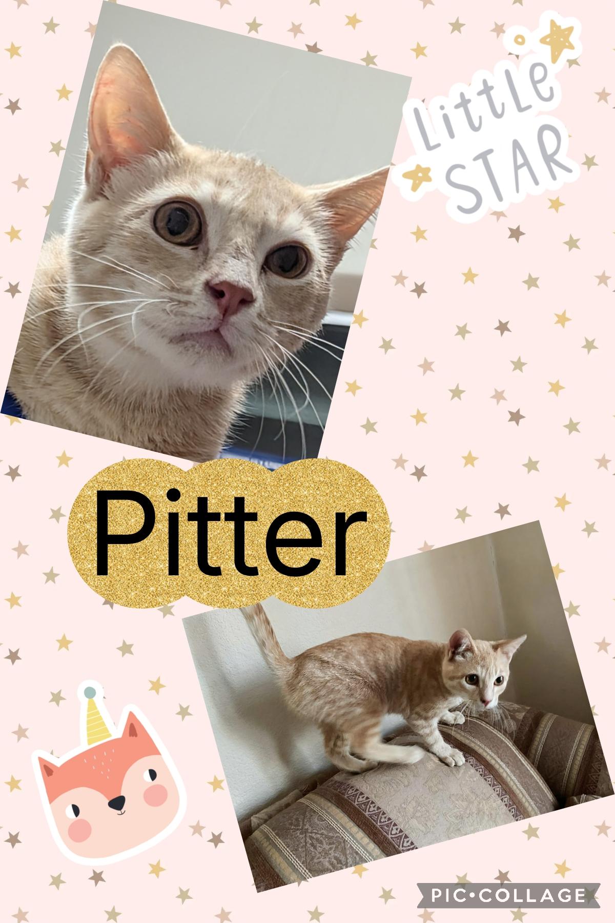 Pitter