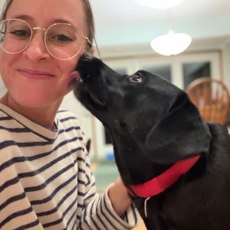 Enlarge Olive, a ADOPTABLE mixed breed in Des Moines, IA image 3/4