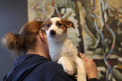 Lesley — thumbnail 2