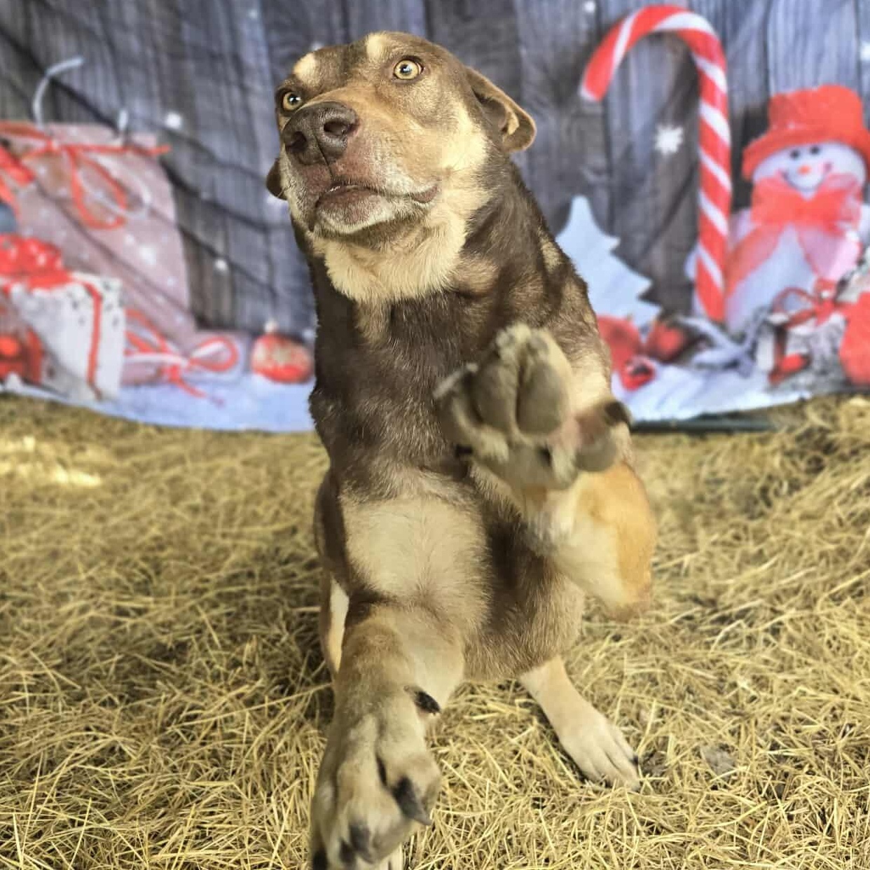 Samuel Beckett — thumbnail 4