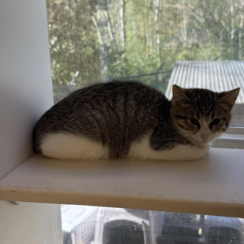 TUSC-Wildlife-83675_2