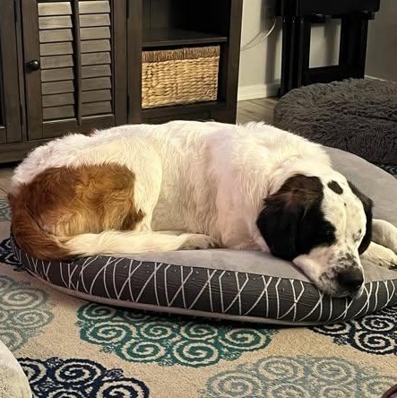 Tanzanite thumbnail 3