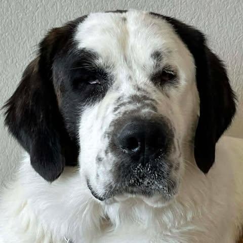 Tanzanite thumbnail 5