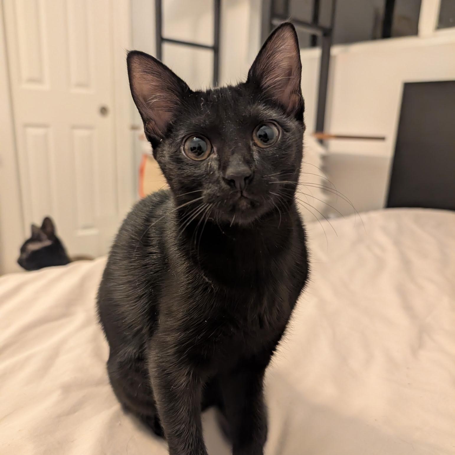 Betty