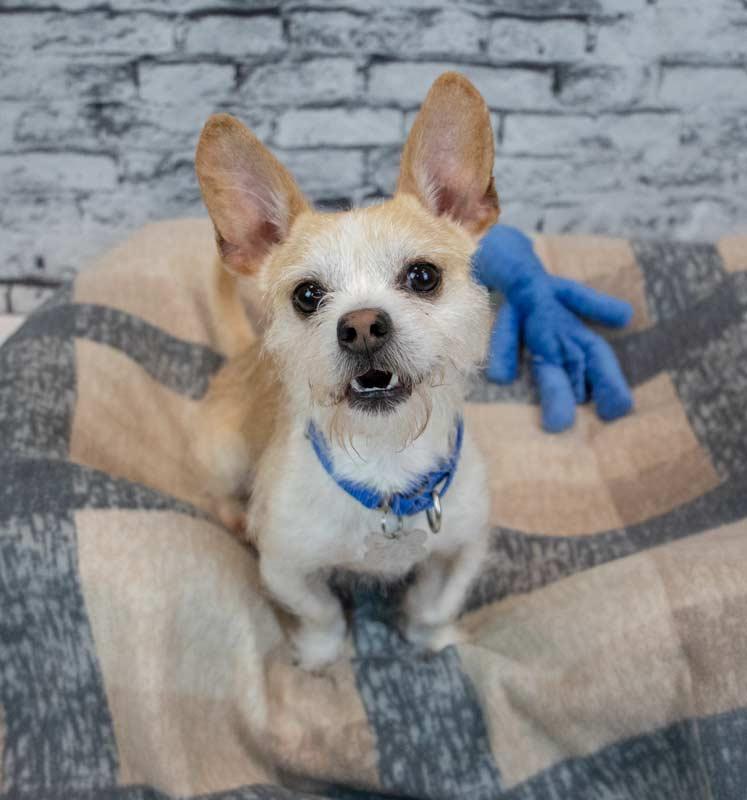 Samuel — thumbnail 2