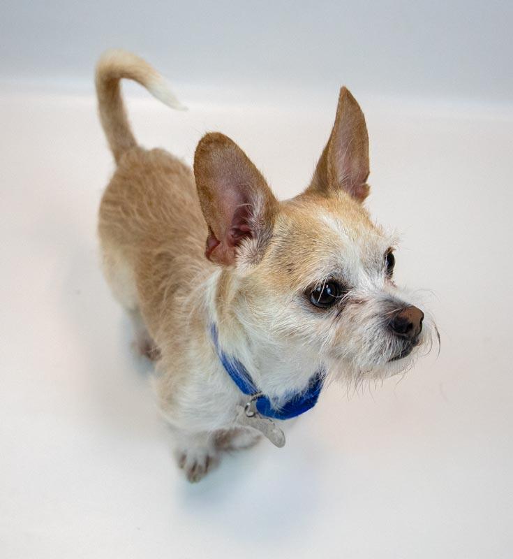 Samuel — thumbnail 3